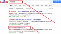 盛宇(天津)鐘表貿易有限公司跟本公司簽訂網站制作項目