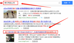 東莞市騎緣體育用品有限公司跟本公司簽訂網站制作合同