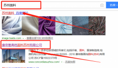 康帝雅高檔面料(蘇州)有限公司同我公司簽署網(wǎng)站開發(fā)事宜