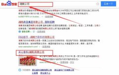 英侖香料(湖南)有限公司同我公司簽署百度快照排名事宜