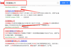 丹陽市康視光學眼鏡有限公司和我公司簽訂SEO優化項目
