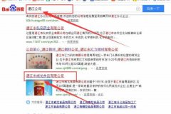 湛江市*龍食品有限公司與海洋網絡簽署關鍵詞搜索排名項目