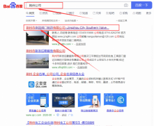 荊州市南*閥門制造有限公司和我公司簽訂SEO優化項目
