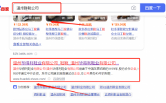 溫州*得利鞋業(yè)有限公司SEO營銷+精準(zhǔn)獲客