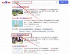 興化市*知食品有限公司網站優化保證在首頁效果