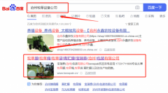 寶瑞*(滄州)包裝有限公司網絡營銷營銷策劃優質品牌