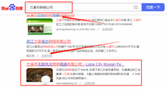 蘭溪市無*風光照明電器有限公司網站SEO優化專注一站式品牌營銷整合推廣