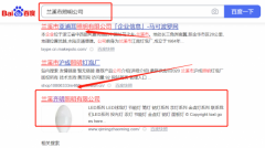 蘭溪市齊*照明電器有限公司網站SEO優化最快上詞效果展示