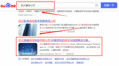 武漢高*通信科技有限公司新站排名品牌營(yíng)銷(xiāo)策劃?rùn)C(jī)構(gòu)