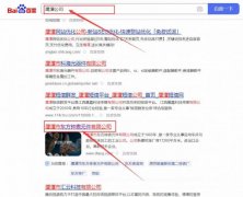 鷹潭市東*鐘表元件有限公司網站優化到首頁按天扣費