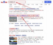 高安市富*堂醫(yī)藥科技有限公司快速排名保證在首頁(yè)效果