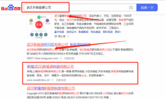 舉*(武漢)新能源科技有限公司新站排名營銷策劃優(yōu)質(zhì)品牌