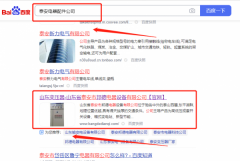 山東省泰安市邦*電器設備有限公司網絡營銷品牌營銷策劃機構