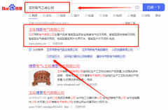 玉環瑋*電氣有限公司百度關鍵詞排名保證在首頁效果