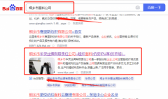 桐鄉市*靈絲綢有限責任公司關鍵詞推廣排名案例欣賞