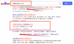 東營市方*化工有限責任公司網站SEO優(yōu)化到首頁無排名不收費