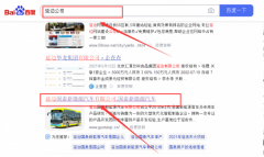 延邊國*新能源汽車有限公司網站優化參考網站