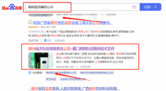 柳州*天科技有限責(zé)任公司關(guān)鍵詞排名整合營銷推廣