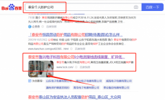 泰安市魯*電子科技有限公司網(wǎng)站推廣品牌營銷策劃機構