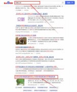 河南新野恒*糧油機械公司網站優(yōu)化讓網站輕松覆蓋在搜索引擎