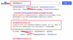 洛陽(yáng)*潤(rùn)潤(rùn)滑油有限公司網(wǎng)絡(luò)營(yíng)銷(xiāo)案例欣賞