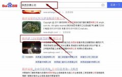 陜西建工(安康)*型建材有限公司網站優化最快上詞效果展示