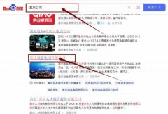 重慶斌*集團有限公司網站排名讓網站輕松覆蓋在搜索引擎