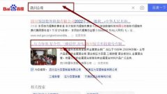 四川驚*科技股份有限公司網(wǎng)站優(yōu)化營(yíng)銷+精準(zhǔn)獲客