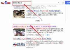 惠州市鼎*防水補漏工程有限公司網站優化最快上詞效果展示