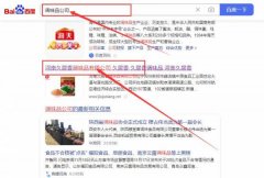 河南久*香調味品有限公司網站優化營銷策劃優質品牌